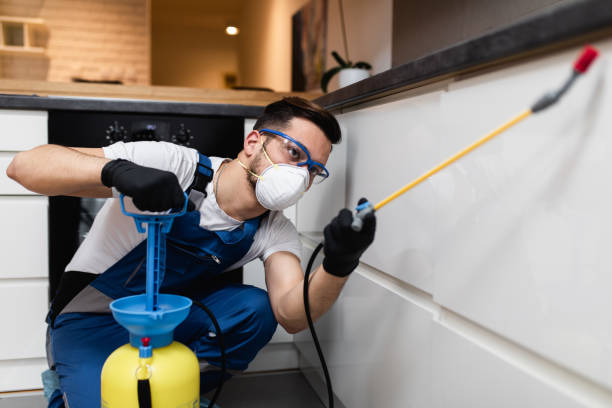 Best Best Pest Control Companies  in Fairfax, IA