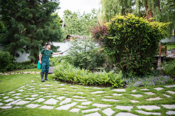 Best Mosquito Control Services  in Fairfax, IA
