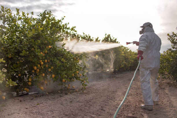 Best Residential Pest Control  in Fairfax, IA