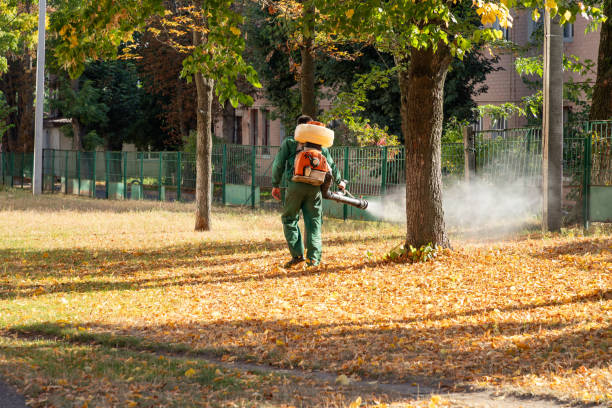 Best Insect Control  in Fairfax, IA