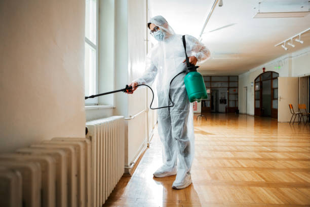 Best Flea Control Services  in Fairfax, IA