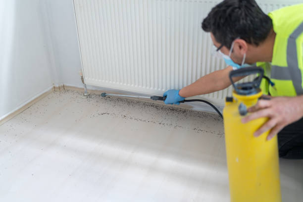 Best Affordable Exterminators  in Fairfax, IA